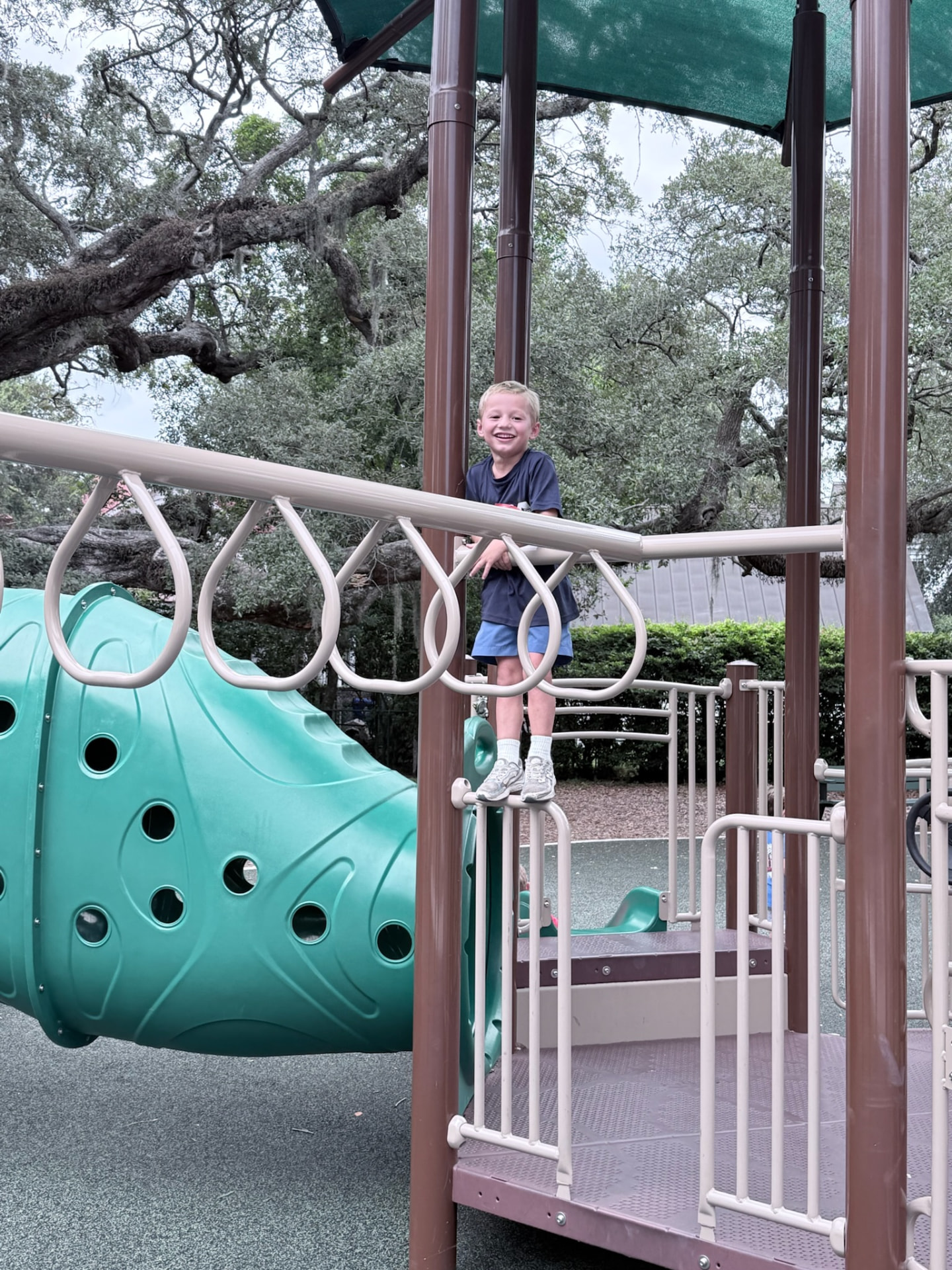An MPA student smiling from the top of the playground climber